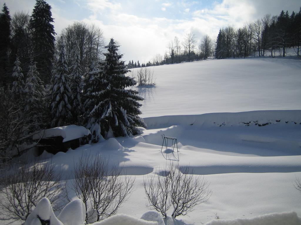Chalet Lomy Villa Nové Město nad Metují Стая снимка